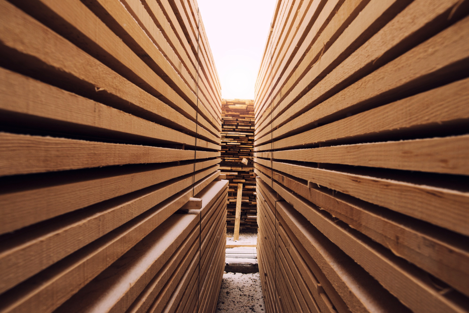 Tarimas de Madera Reciclada en Monterrey