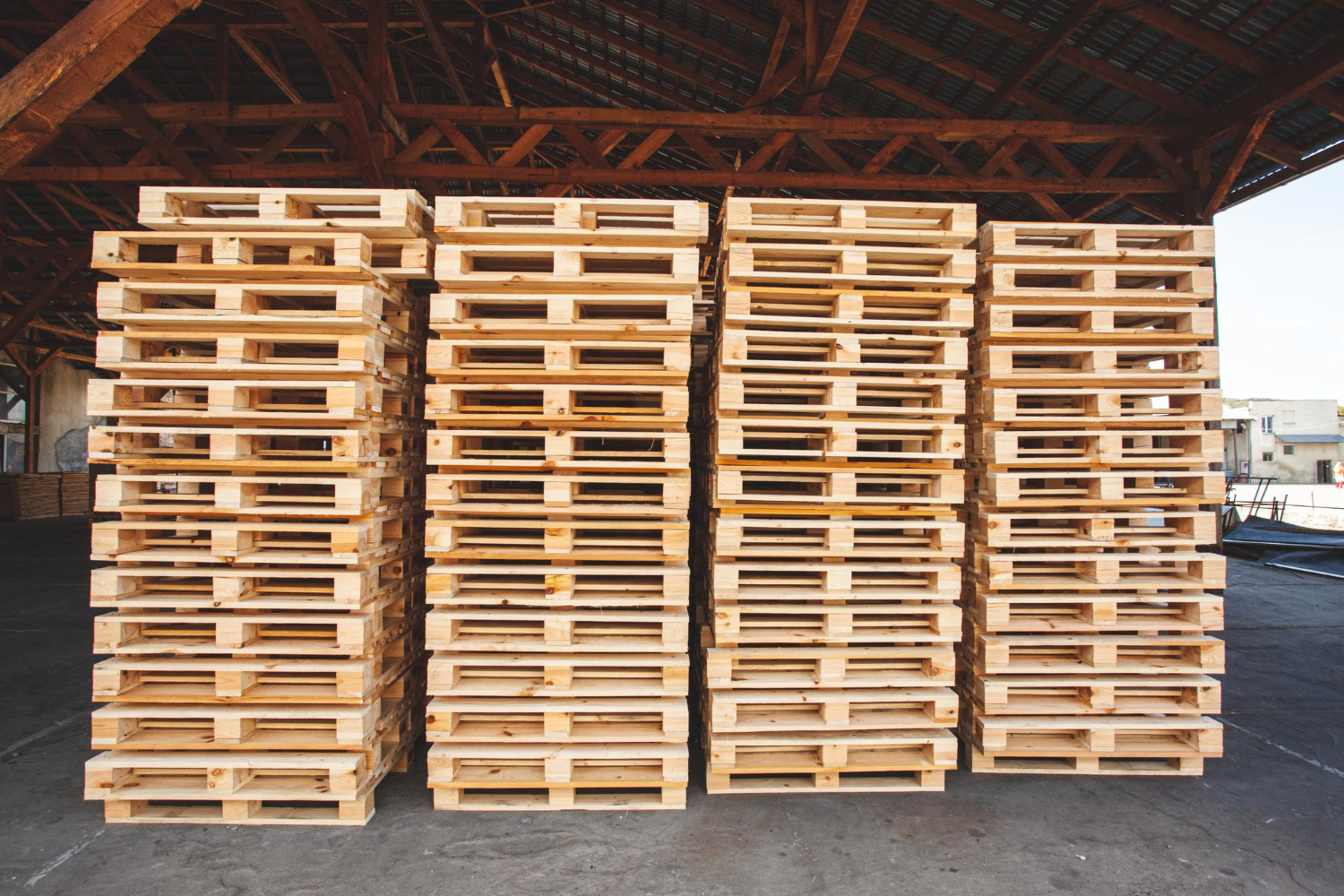 Tarimas de Madera en Monterrey